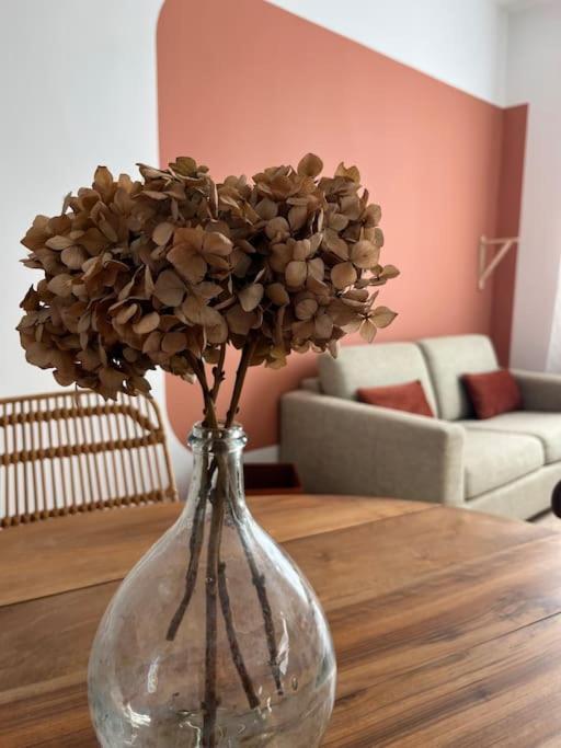 La Maison De Camille Climatisation Parking Prive Wifi Carcassonne Eksteriør bilde